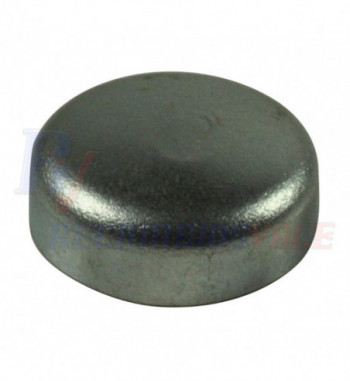 PLUG, MANITOU, 604881