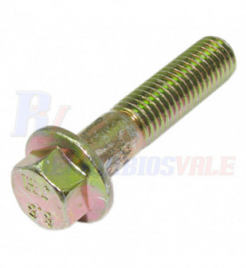 TORNILLO-COLLAR, MANITOU, 605000