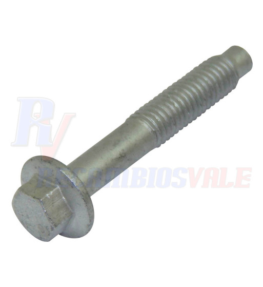 TORNILLO, MANITOU, 605029