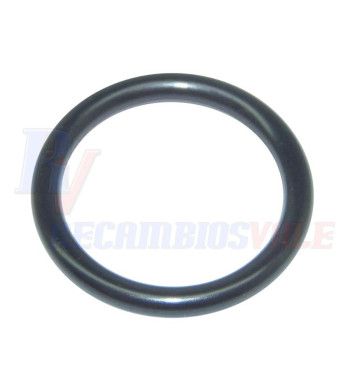 JUNTA TORICA, MANITOU, 6,56E+11