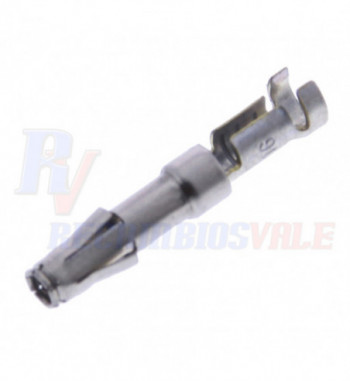 CONTACTO, MANITOU, 657206