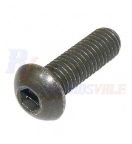 TORNILLO, MANITOU, 674427