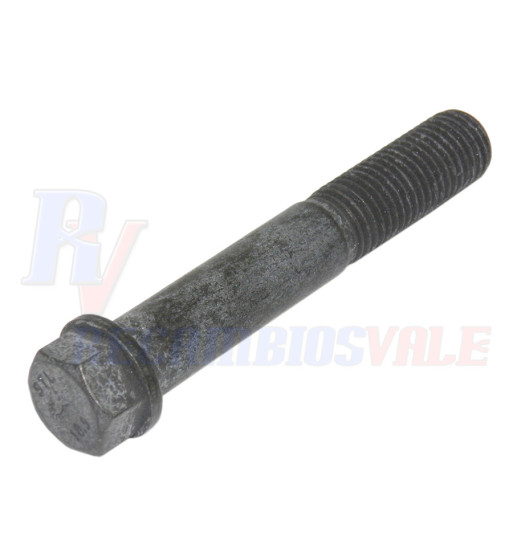 TORNILLO, MANITOU, 702138