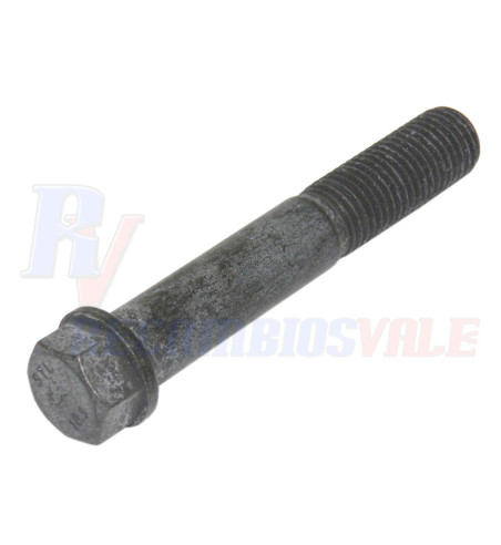 TORNILLO, MANITOU, 702138