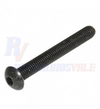 SCREW, MANITOU, 702565