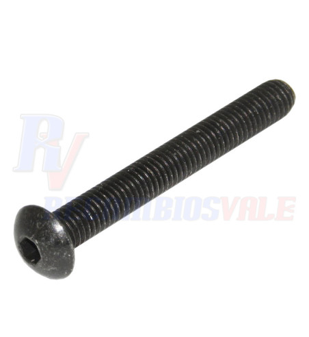 SCREW, MANITOU, 702565