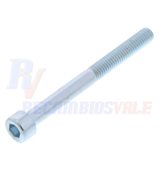 TORNILLO, MANITOU, 704604