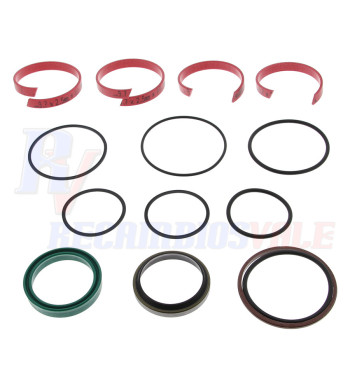 SEAL - KIT HYDR. CYL