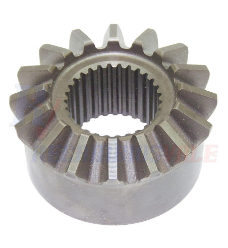 PIÃ‘ON PLANETARIO