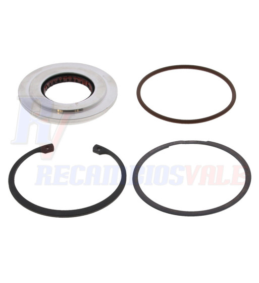 SHAFT SEAL KIT