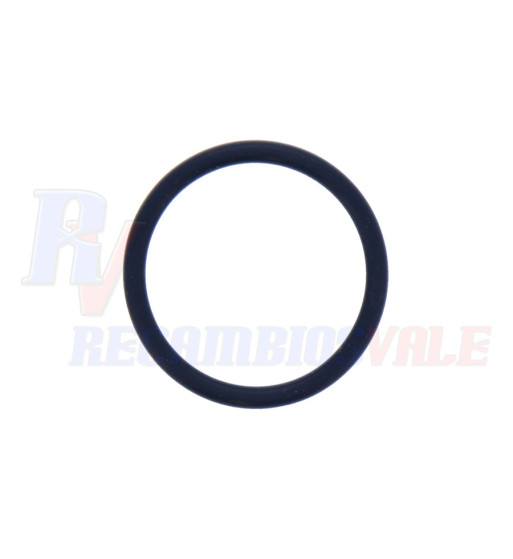 JUNTA TORICA        RX