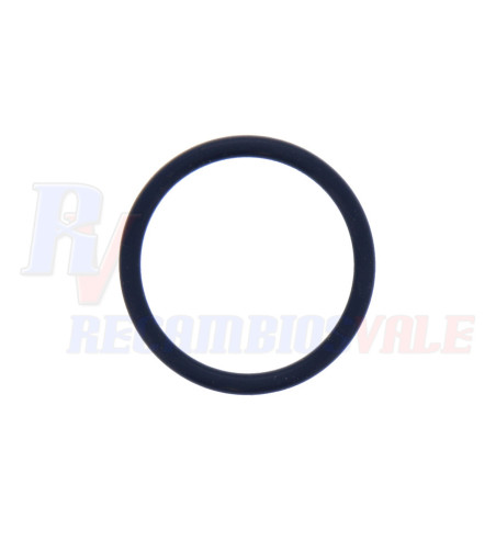 JUNTA TORICA        RX