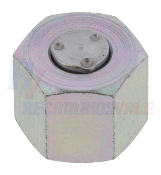 BLANKING CAP 1/4 BSP