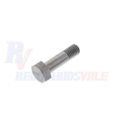 BULÃ“N CABEZA EXAGONAL