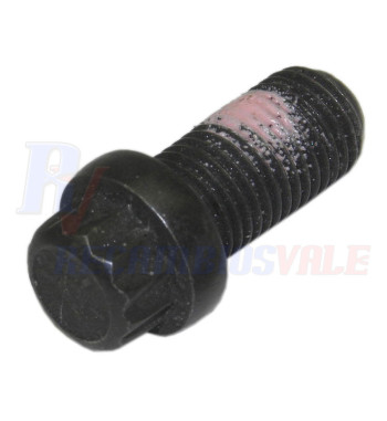 JUEGO DE TORNILLOS SERIE 1480