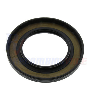 PLANCHA DE FUNDACIÃ“N